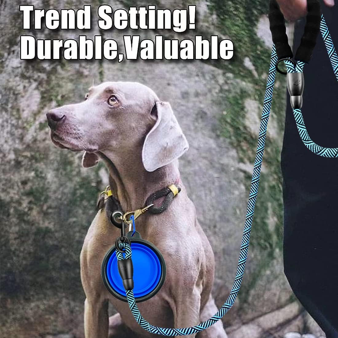 1 Dog Leash 5FT/6 FT Thick Durable Nylon Dog Rope-Comfortable Padded Handle Reflective Rope Dog Leash for Medium Large Dogs with Collapsible Pet Bowl and Garbage Bags (Flower Blue1/2 X6Ft)